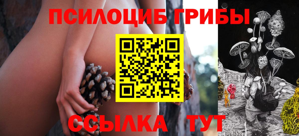 Псилоцибиновые грибы мицелий  Вход с VPN  Дербент 
